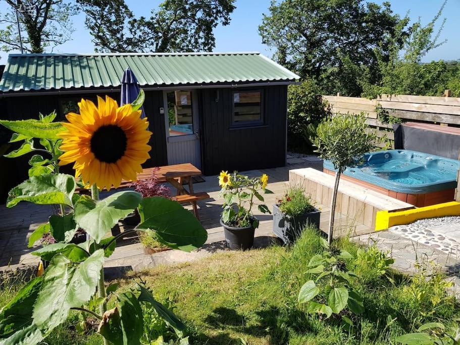 The Old Potting Shed With Hot Tub. Colan, Newquay. Apartment Newquay  Exterior photo